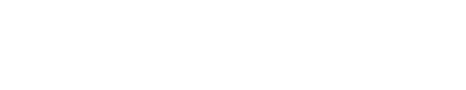 優雅に輝く運命の一着。悠久の時を可憐に彩る。